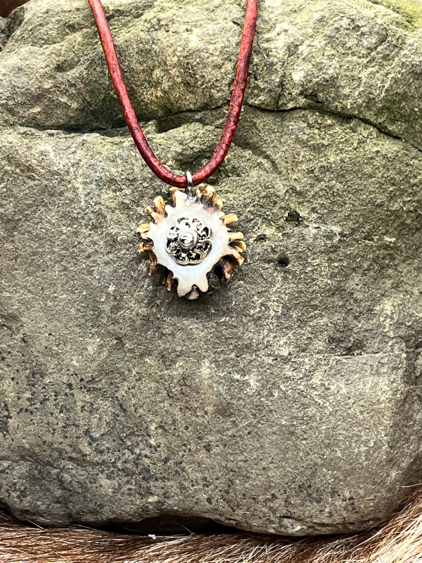 Anhänger aus Rehbockrose mit Silberhaube