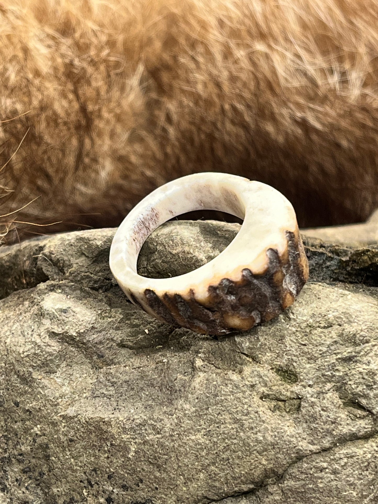 Ring aus Hirschhorn