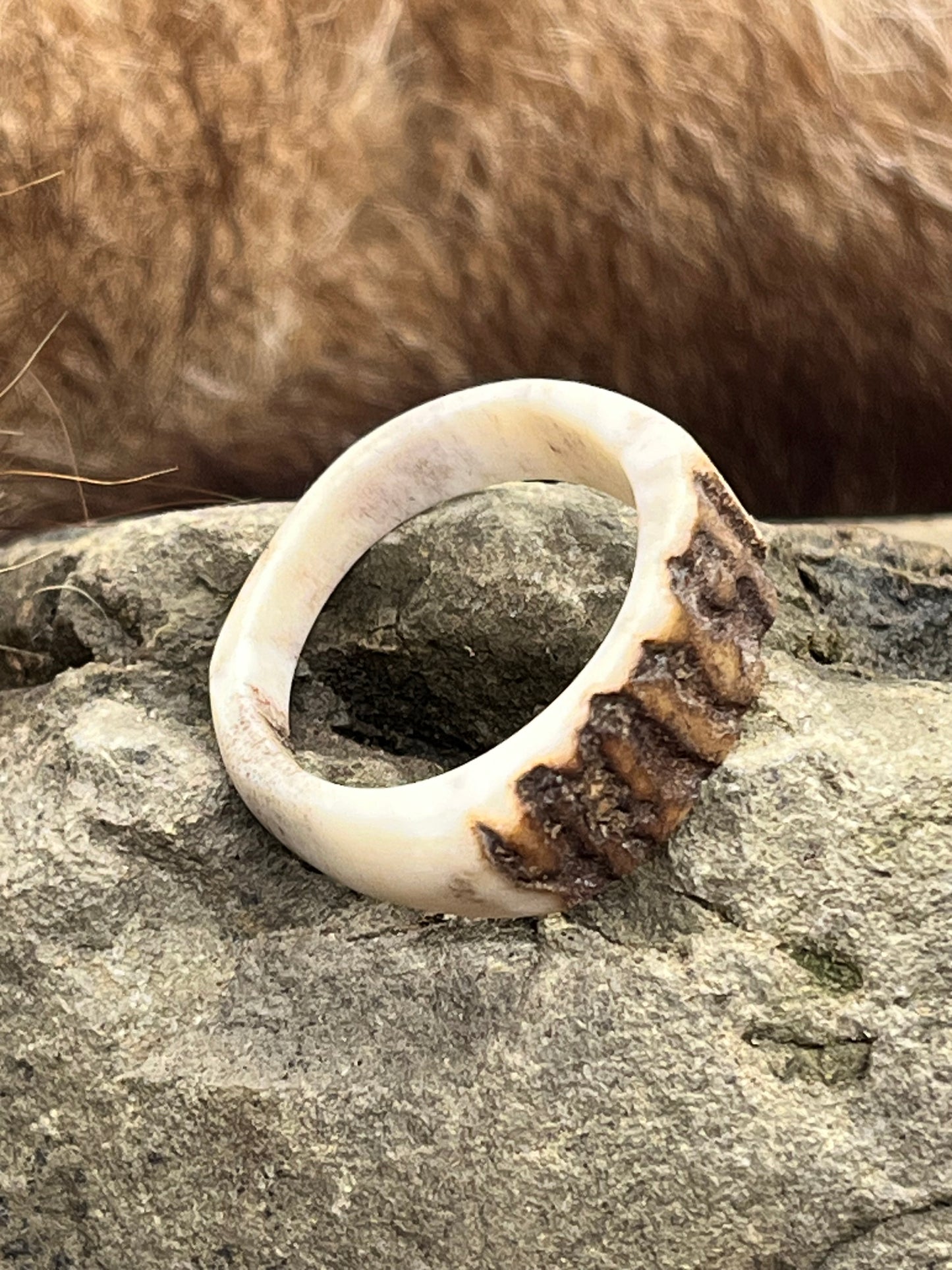 Ring aus Hirschhorn