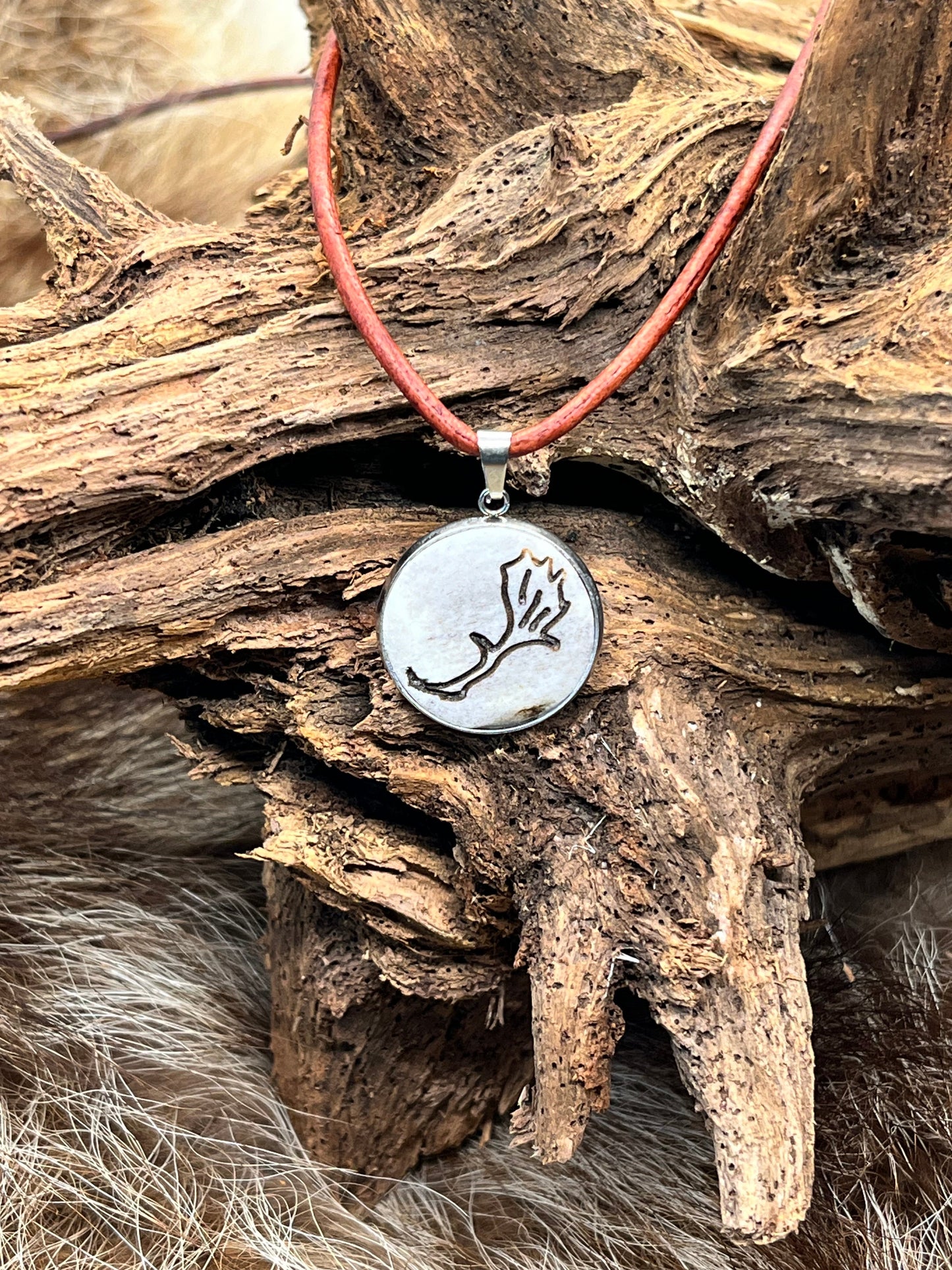 Medaillon aus Büffelbein „Abwurfstange Damhirsch“