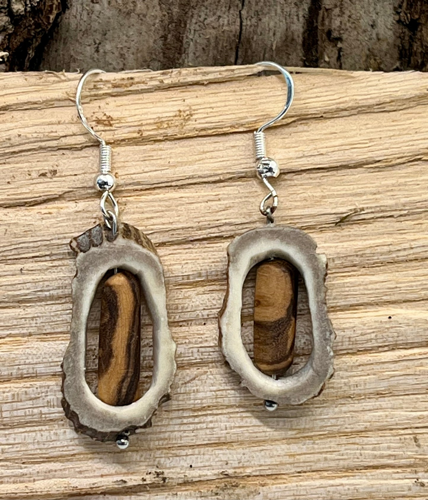 Ohrringe aus Hirschhorn mit Olivenholz