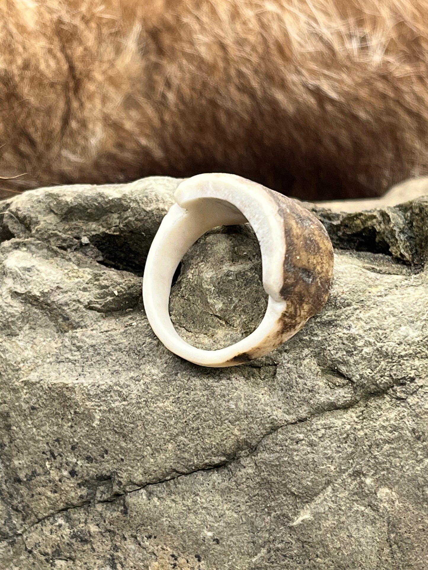 Ring aus Hirschhorn