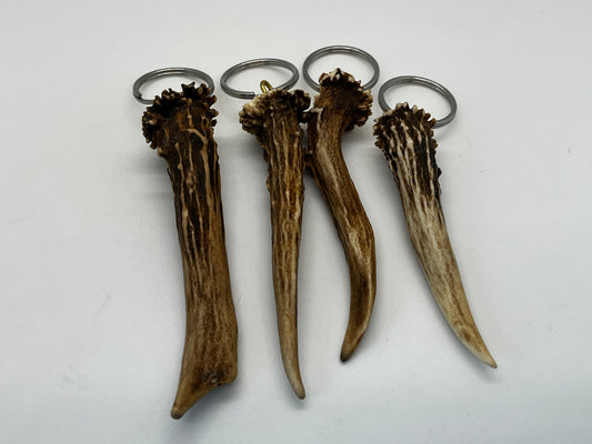 Schlüsselanhänger aus Rehbockstange